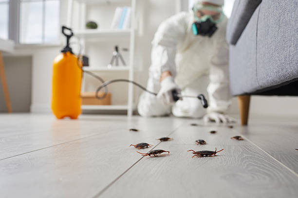 Commercial Kitchen Cockroach Control in Great Neck Plaza